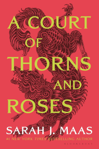 Sarah J. Maas' A Court of Thorns and Roses is a TikTok sensation celebrated for its intricate world-building, captivating characters, and swoon-worthy romance.